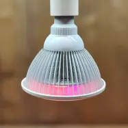 LED - White Beauty 20W, E27, 2160 lm, 12 dioder, 3500K, 660nm röd, 630nm röd, 450nm blå, 60° spridning.