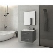 Badrumsmöbler Torino 60 - Antracitfärgat med spegelskåp