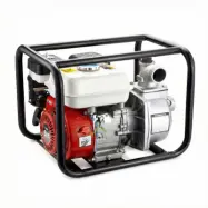 Bensindriven vattenpump 2 | 196 cc 4-takt | 30 m lyfthöjd | Aqualis