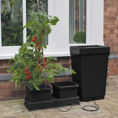 Med Stor Vattenbehållare Bevattning Krukset