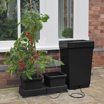 Easy 2 Grow Kit - Självbevattningssystem