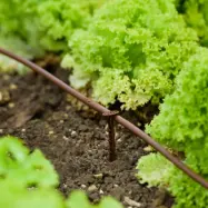 Flopro droppbevattning för rabatt och köksland