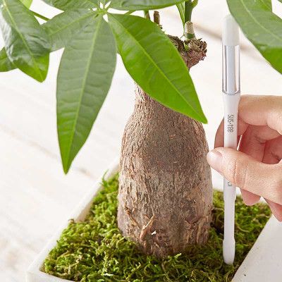 Fuktmätare SUStee L, vit