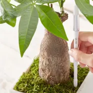 Fuktmätare SUStee S, vit