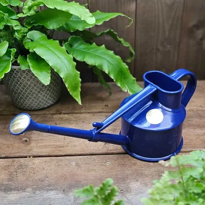 Handy Indoor blå 0,7L, HAWS plastkanna med avtagbar fin stril för inomhusbevattning