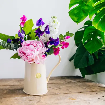 Haws Classic Jug kanna, krämvit