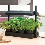 Odlingsstation LED liten, svart