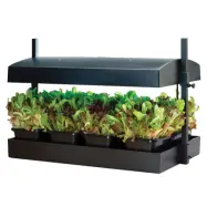 Odlingsstation stor, svart