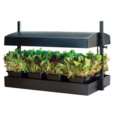 Odlingsstation stor, svart