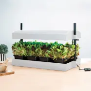 Odlingsstation stor, vit