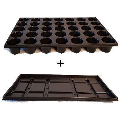 Pluggbrätte 35 celler + bevattningsbricka