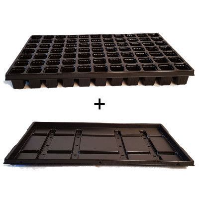 Pluggbrätte 77 celler + bevattningsbricka