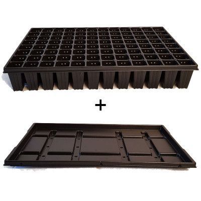 Pluggbrätte 96 celler + bevattningsbricka