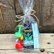 Wexthusets odlargåva