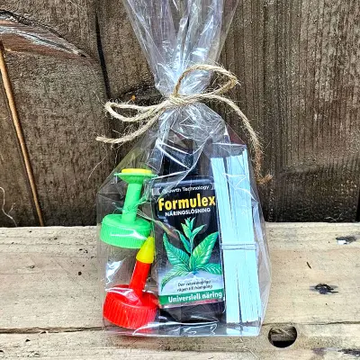 Wexthusets odlargåva