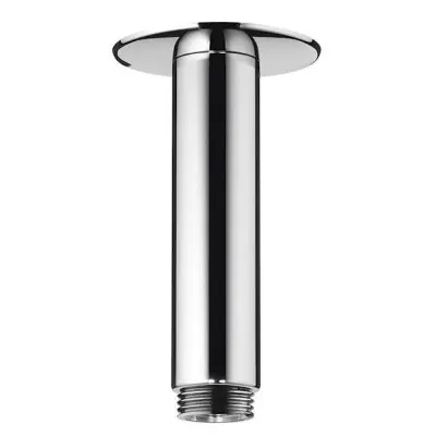 Duscharm Hansgrohe Raindance 100 mm för Takmontage