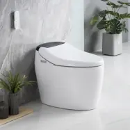 Japansk toalett med dusch/bidéfunktion& LED-display