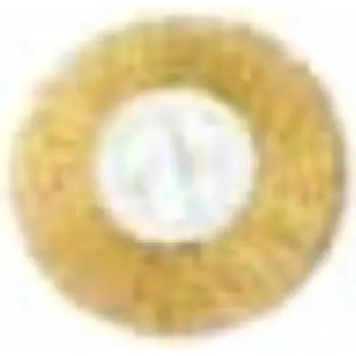 Borste till fogrengörare