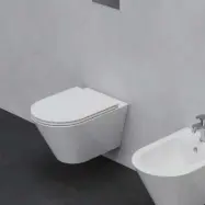 Vägghängd Toalettstol Lavabo Forma