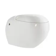 Vägghängd toalettstol