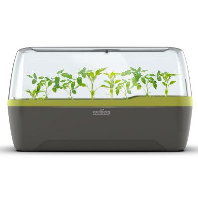 Drivhus för odling i hydrokultur, antracit