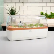 Drivhus för odling i hydrokultur, beige