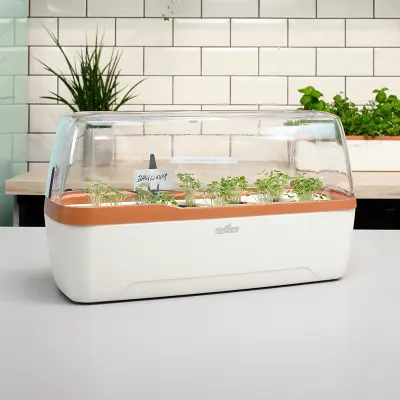 Drivhus för odling i hydrokultur, beige