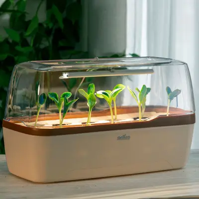 Drivhus för odling i hydrokultur LED, beige