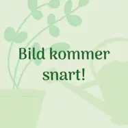 Drivhus Vitopod, small dubbel höjd