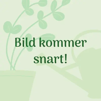 Drivhus Vitopod, small dubbel höjd