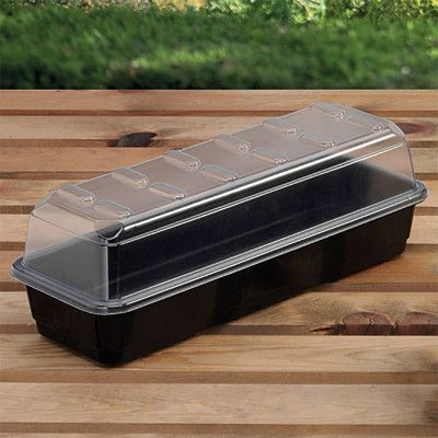 Enkelt miniväxthus, smal