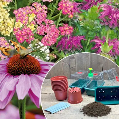 Ett komplett odlingspaket med perennfröer, jord, drivhus, krukor, etiketter  och stril.