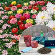 Ett komplett odlingspaket med sommarblomsfröer, jord, drivhus, krukor, etiketter och stril.