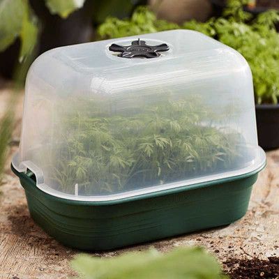 Green Basics drivhus, liten