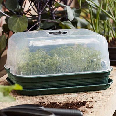 Green Basics drivhus, medium