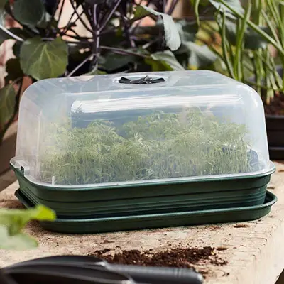 Green Basics drivhus, medium