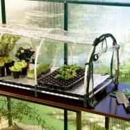 Jumbo propagator med värmematta