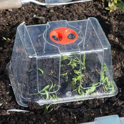 Kupa till minidrivhus liten, Extra hög klar plastkupa för minidrivhus mini 22,5x16,5x12 cm