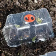 Kupa till minidrivhus mini, Extra hög, klar plastkupa för minidrivhus mini 16,5x9,5x7 cm