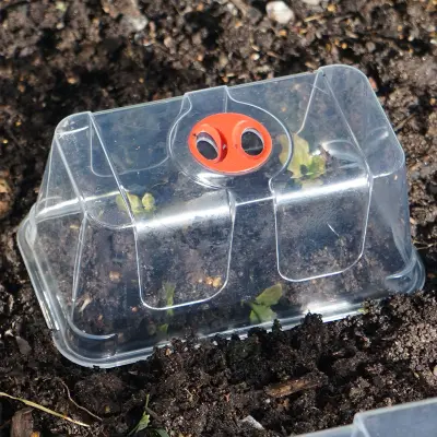 Kupa till minidrivhus mini, Extra hög, klar plastkupa för minidrivhus mini 16,5x9,5x7 cm