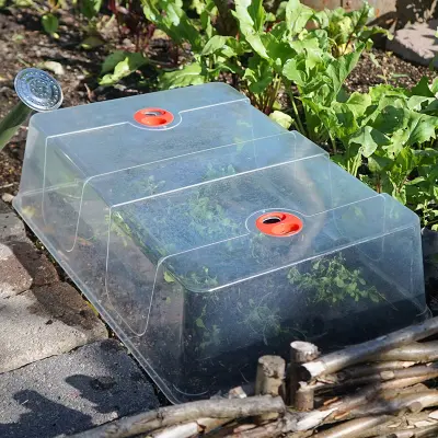 Kupa till minidrivhus XL, Extra hög klar plastkupa till minidrivhus XL, 57,5x39x15 cm