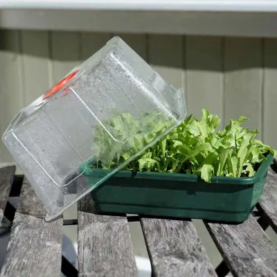 Minidrivhus liten, grön