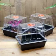 Minidrivhus liten utan hål 3-pack, drivhus 23x17x18 cm utan hål i botten