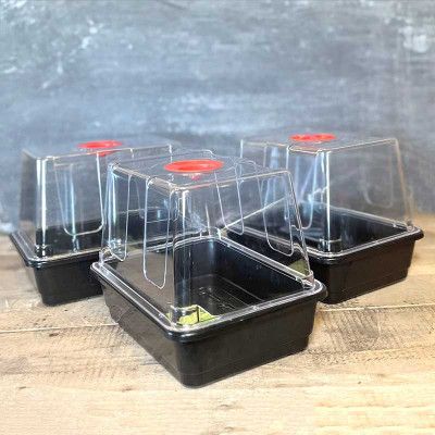 Minidrivhus liten utan hål,  3-pack