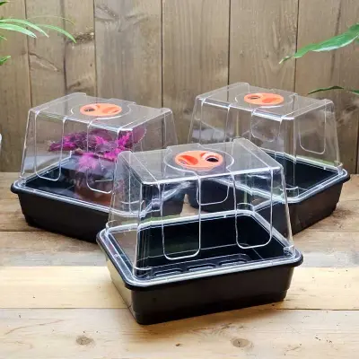 Minidrivhus liten utan hål 3-pack, drivhus 23x17x18 cm utan hål i botten