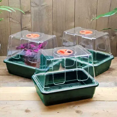 Minidrivhus liten utan hål, grön 3-pack