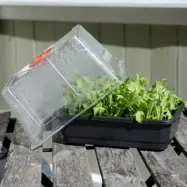 Minidrivhus liten, svart