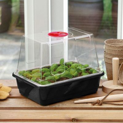 Minidrivhus liten, svart