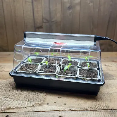 Minidrivhus stor med SunBlaster LED 30 cm, drivhus 37.5x23x18cm + LED växtlampa 8W 30cm