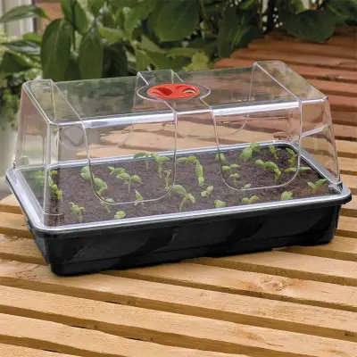 Minidrivhus stor, svart